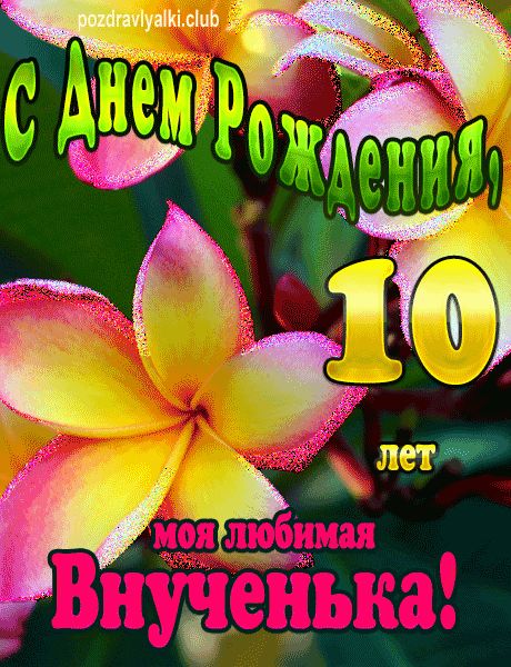 Что подарить дочке на 10 лет — идеи подарков и сюрпризов летней дочери от родителей